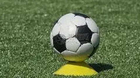 詹皇：携曼巴意志奋战，浓眉哥：赛季全程致敬精神